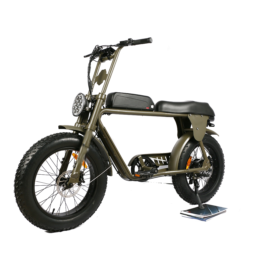 Biciclette Elettriche a Doppio - Dual Motor Electric Motorcycle Frame recensione e prezzo
