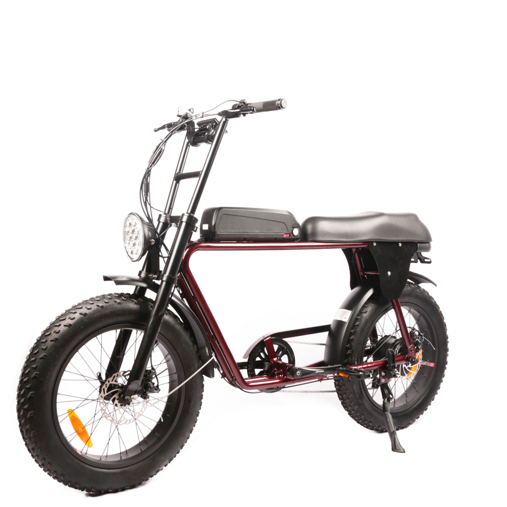 Biciclette Elettriche a Doppio - Dual Motor Electric Motorcycle Frame recensione e prezzo