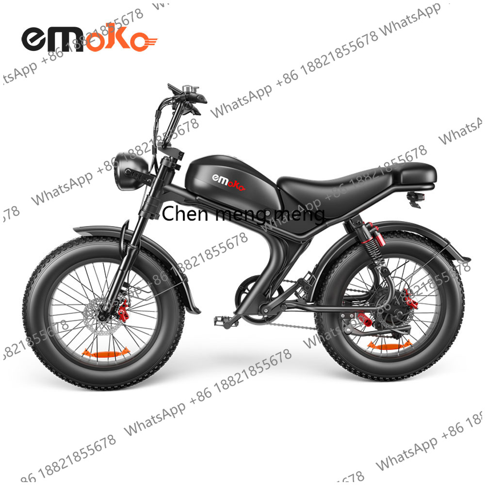 Bicicletta Elettrica da 20 Pol - Dual Motor Electric Motorcycle Frame recensione e prezzo