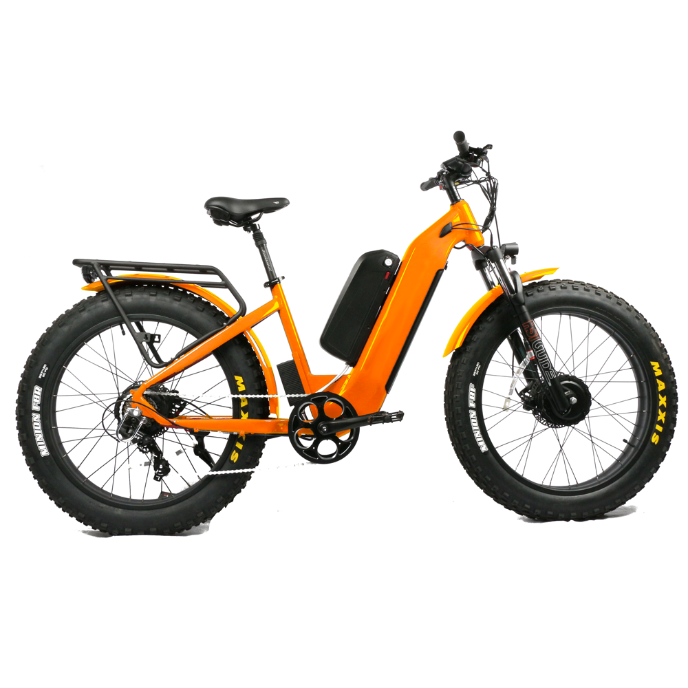 Bicicletta Elettrica da Montag - Dual Motor Electric Motorcycle Frame recensione e prezzo
