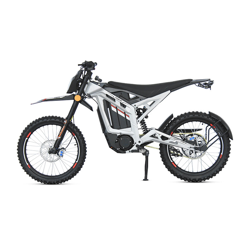 Motocicletta Elettrica E-bike  - Dual Motor Electric Motorcycle Frame recensione e prezzo